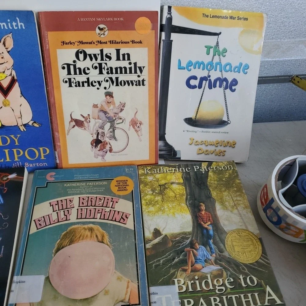 Lot of 33 Misc Titles  Gr 4-5 Leveled Reader Books Homeschool Classroom Tutor